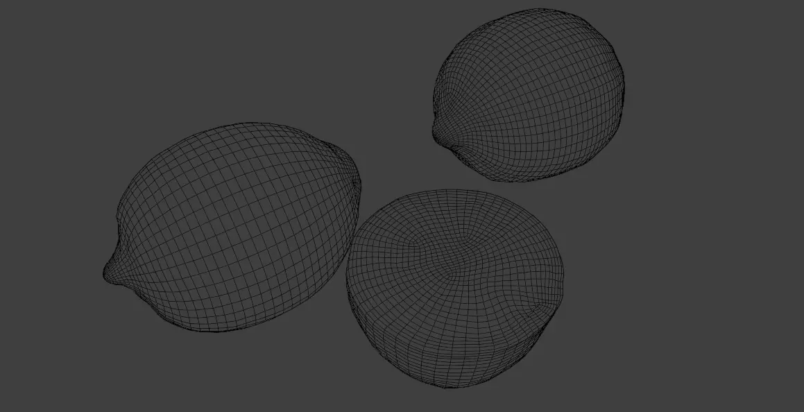 RealisticLemon3DModelSet 3D model_4