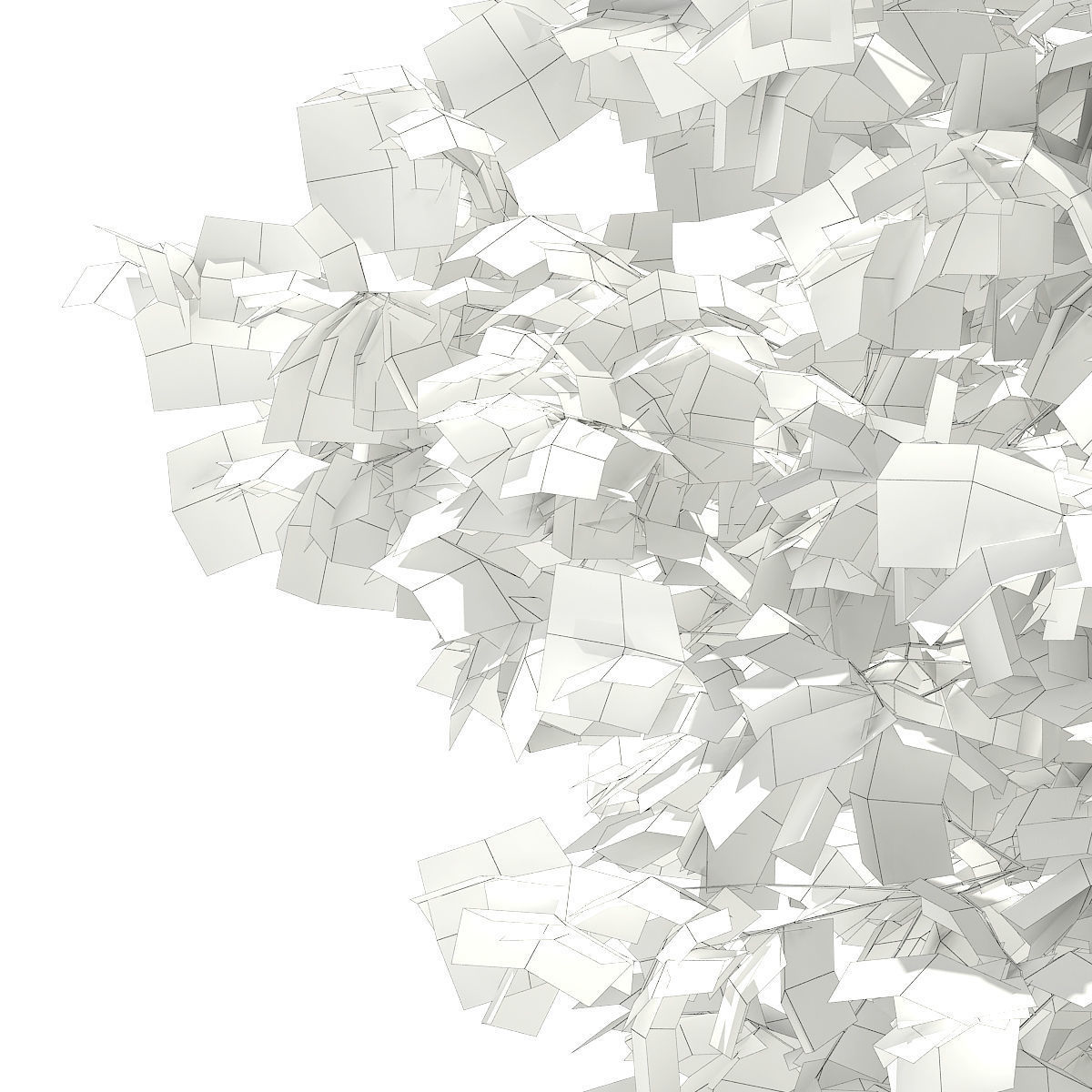 European Beech Fagus sylvatica 5m 3D model_7