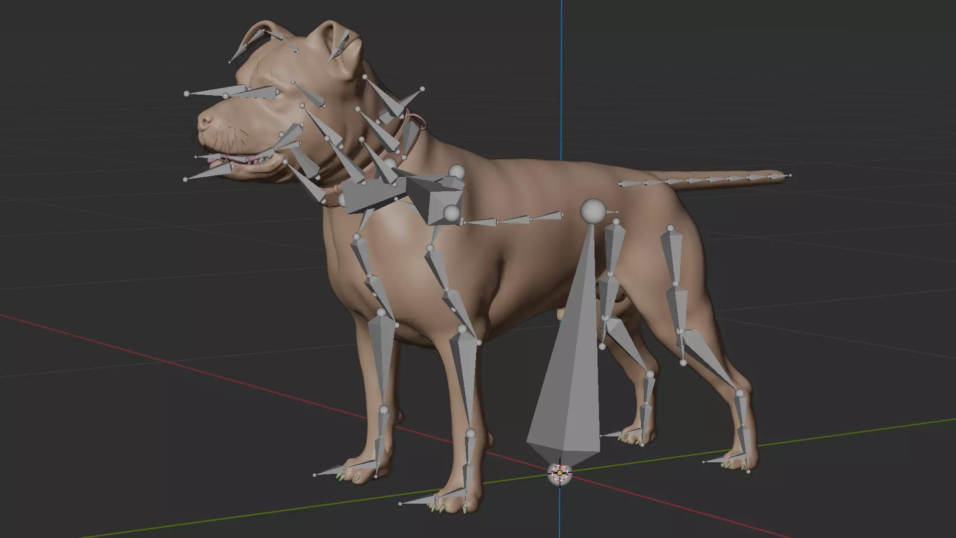 Pitbull Low-poly 3D model_8