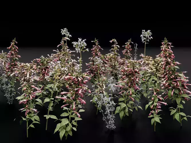 Delicate Flowers - Asset Pack