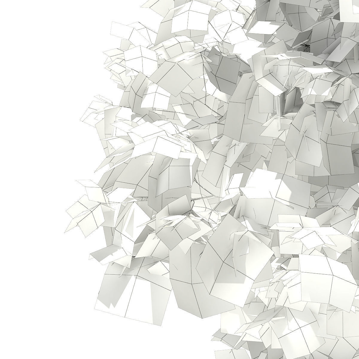 Sweetgum Tree Liquidambar styraciflua 4m 3D model_7