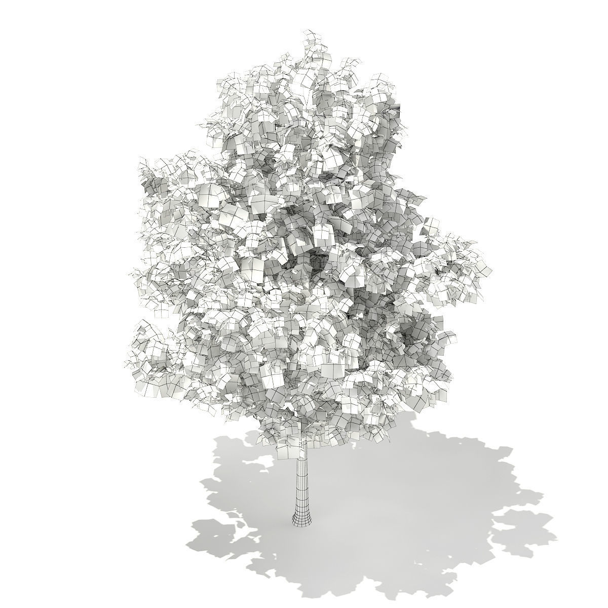 Sweetgum Tree Liquidambar styraciflua 4m 3D model_5