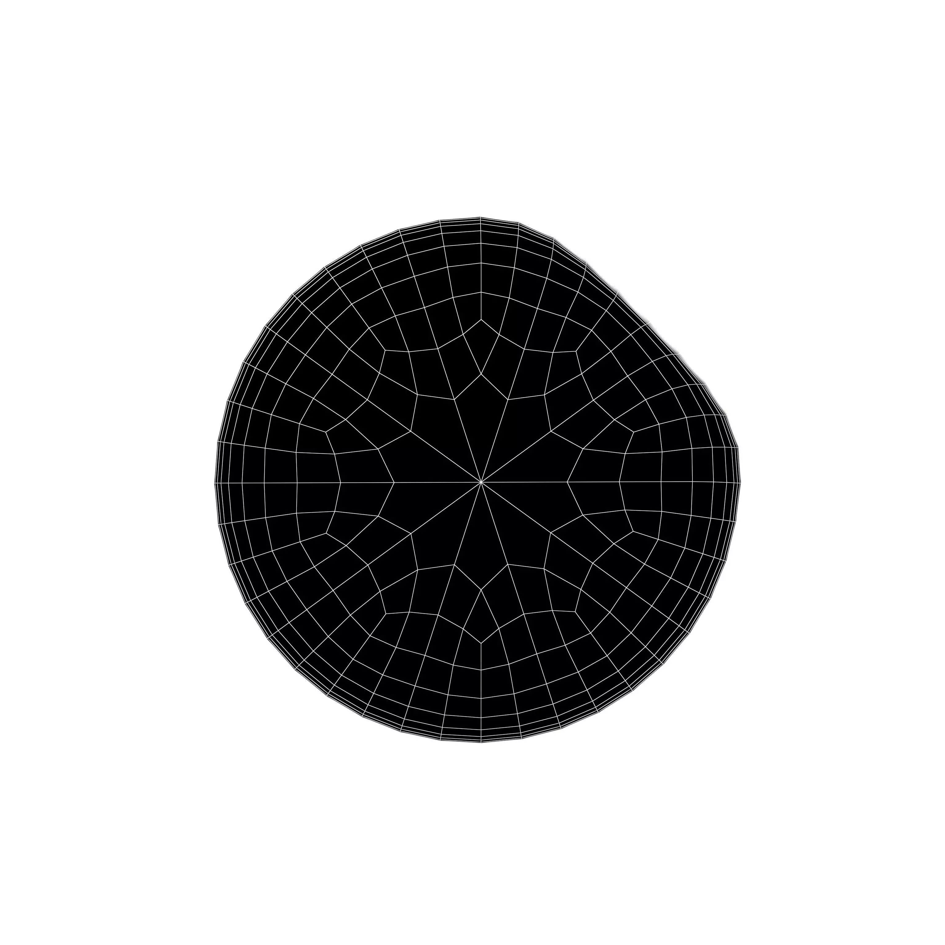 Circle Sticker v2 001 Low-poly 3D model_4