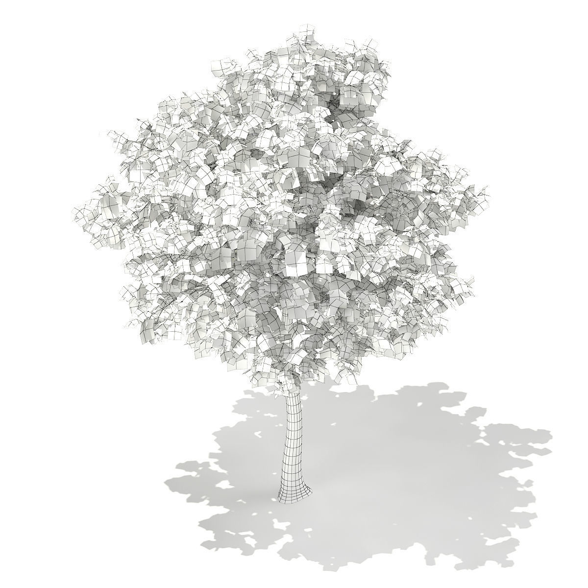 Sweetgum Tree Liquidambar styraciflua 4m 2 3D model_7