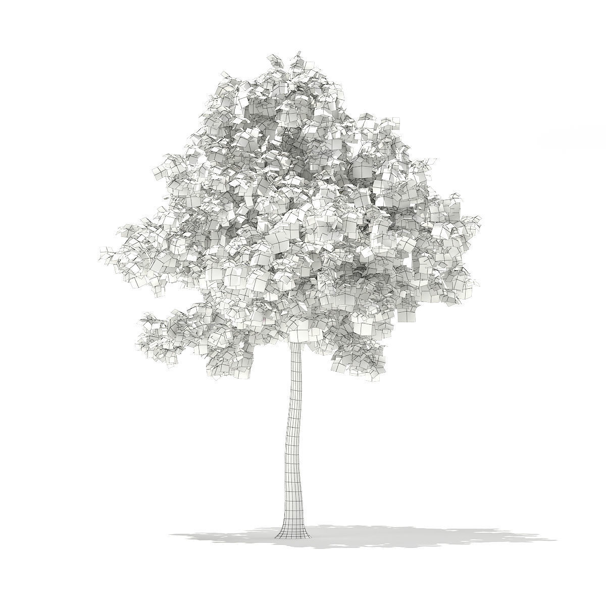 Sweetgum Tree Liquidambar styraciflua 4m 2 3D model_3