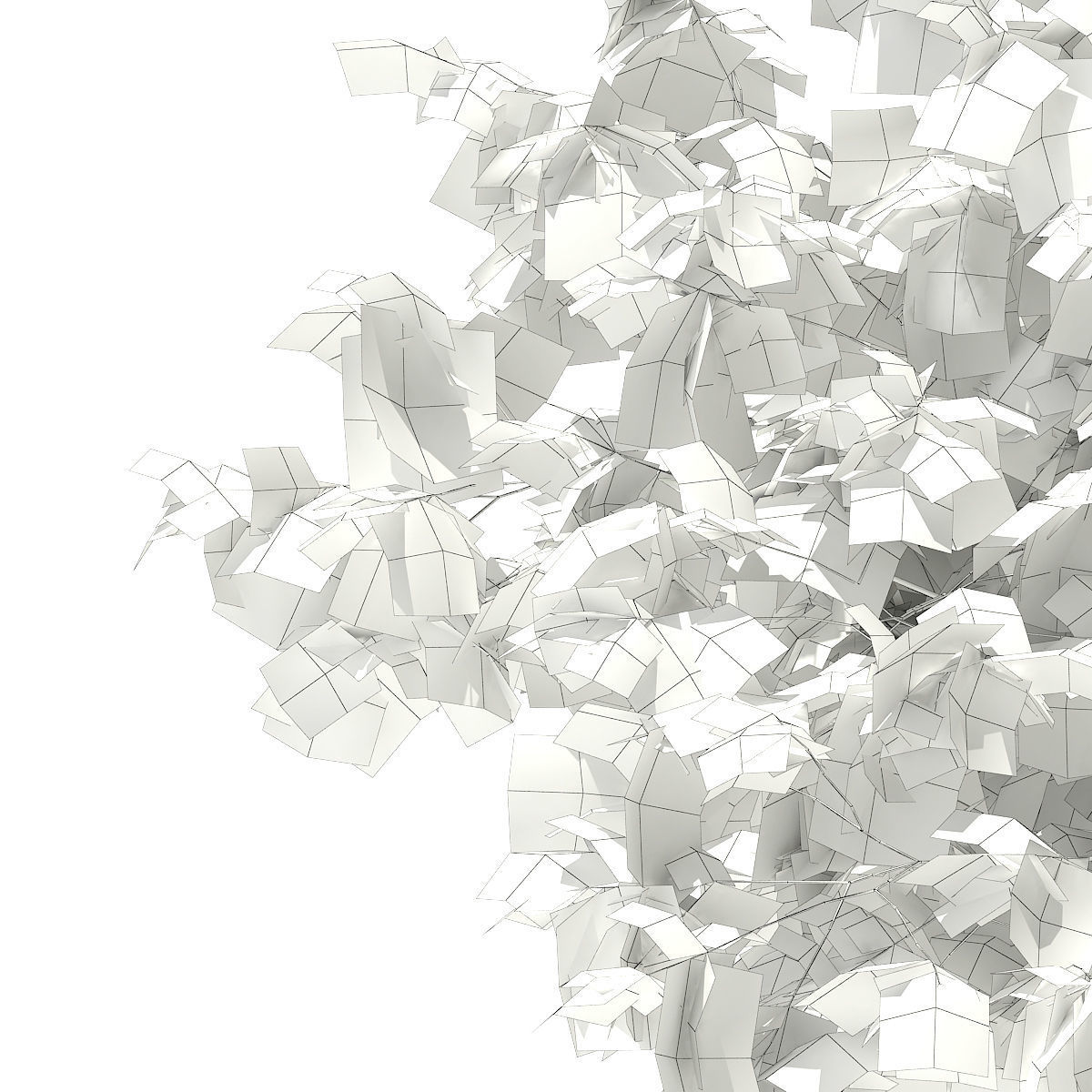 Sweetgum Tree Liquidambar styraciflua 4m 2 3D model_5