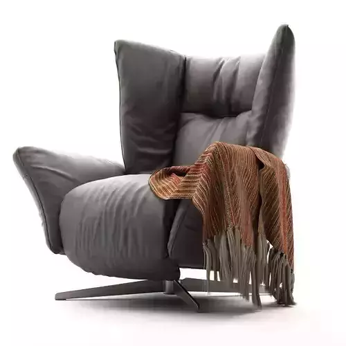 Natuzzi Tulip 3031 Armchair