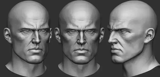 Highpoly Realistic White Man Head zbrush project 