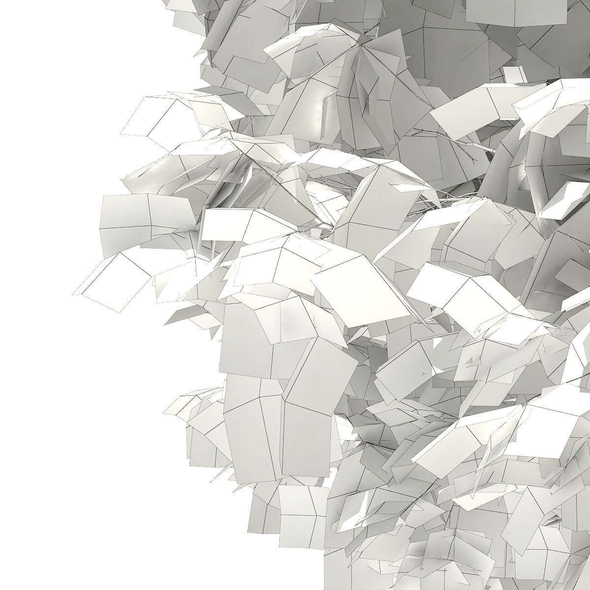 Sweetgum Tree Liquidambar styraciflua 5m 3D model_7