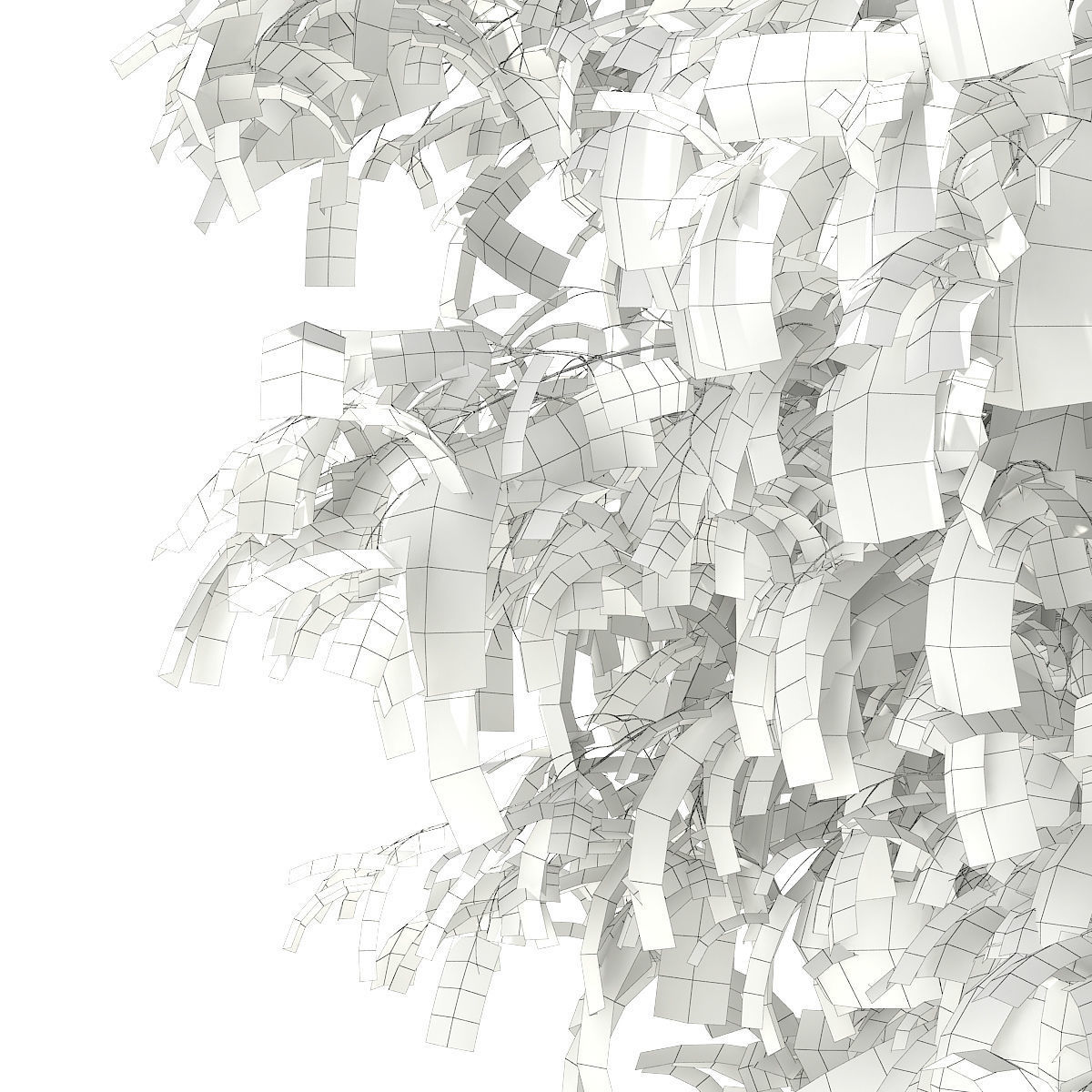 White Willow Salix alba 11m 3D model_7