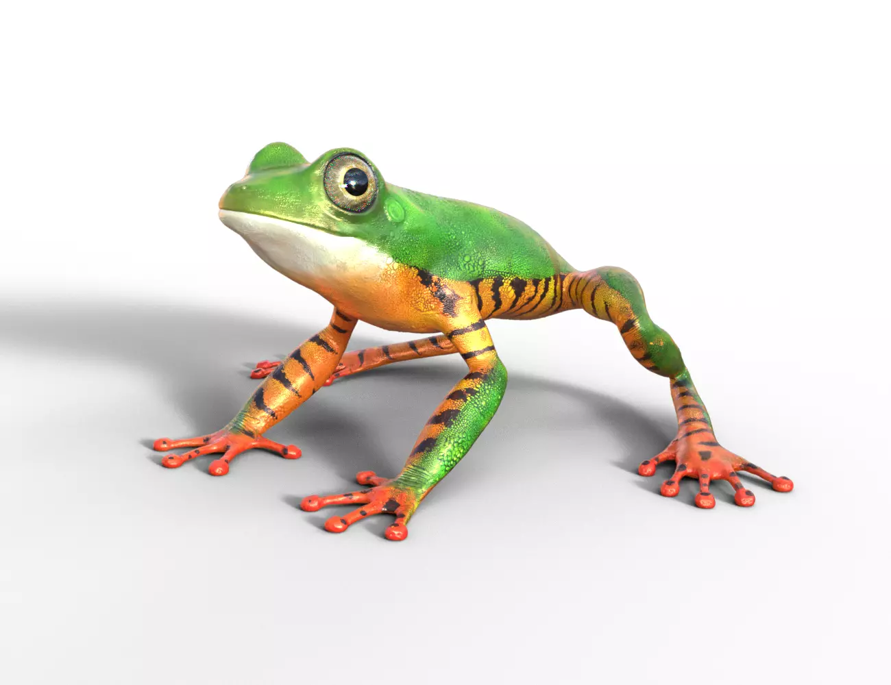 Tree Frog Low-poly 3D model_0
