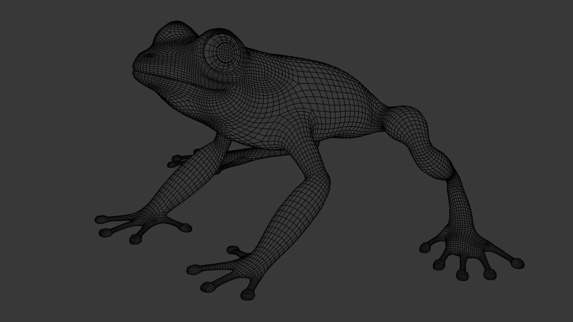 Tree Frog Low-poly 3D model_33