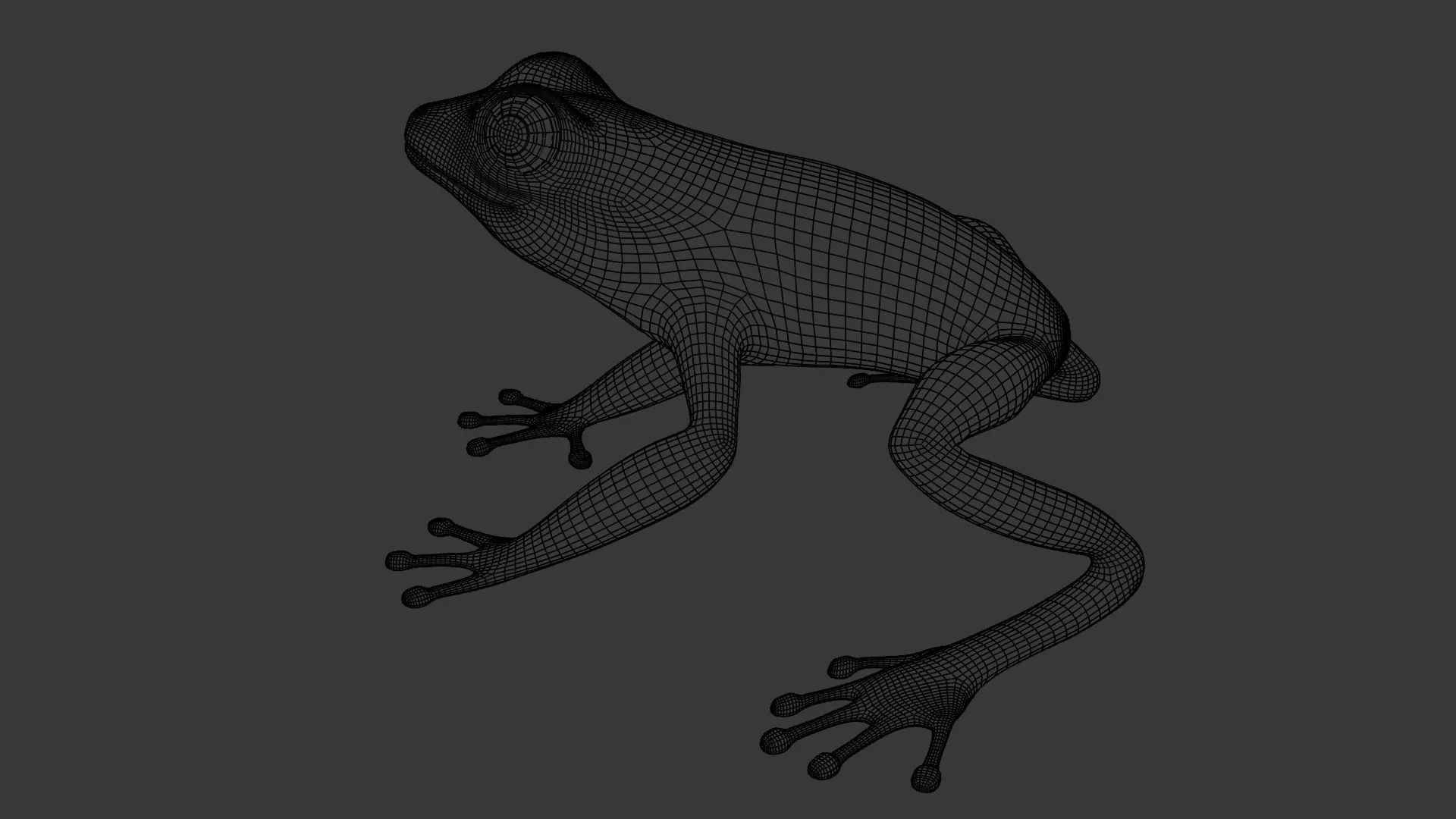 Tree Frog Low-poly 3D model_32