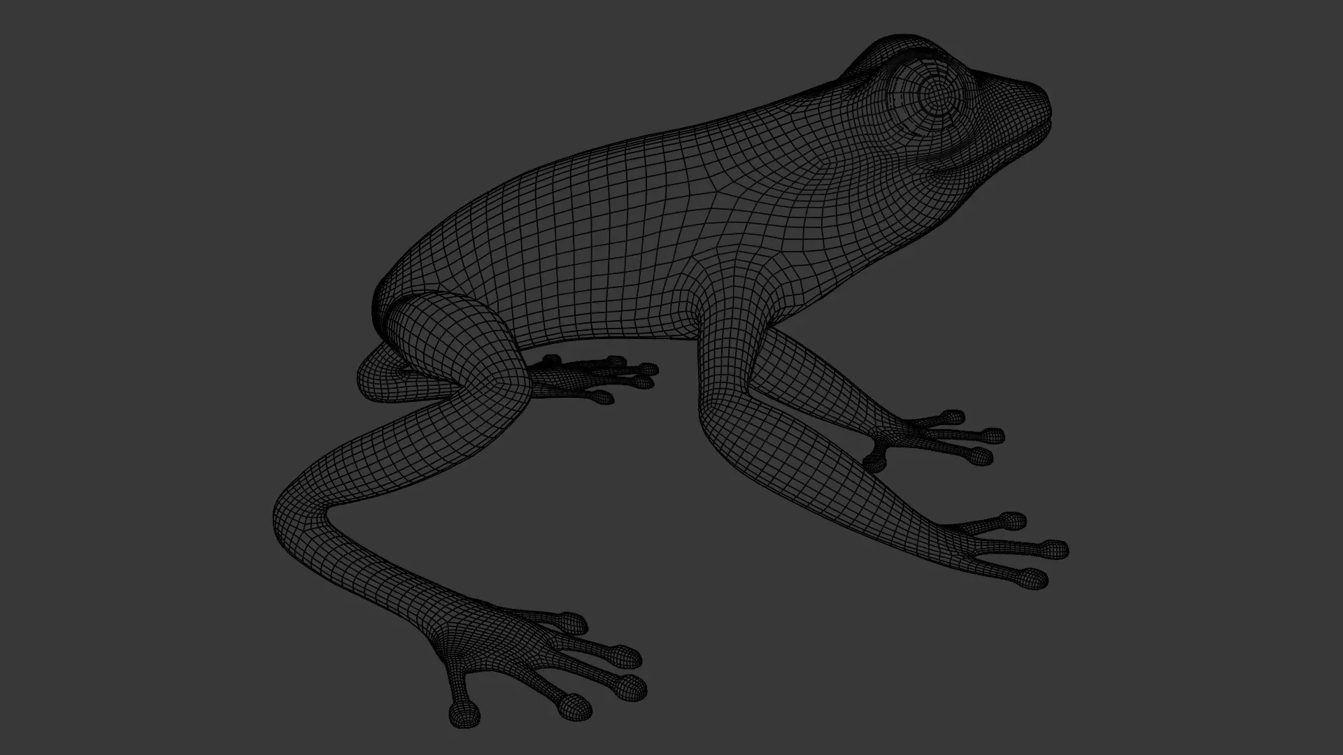 Tree Frog Low-poly 3D model_28