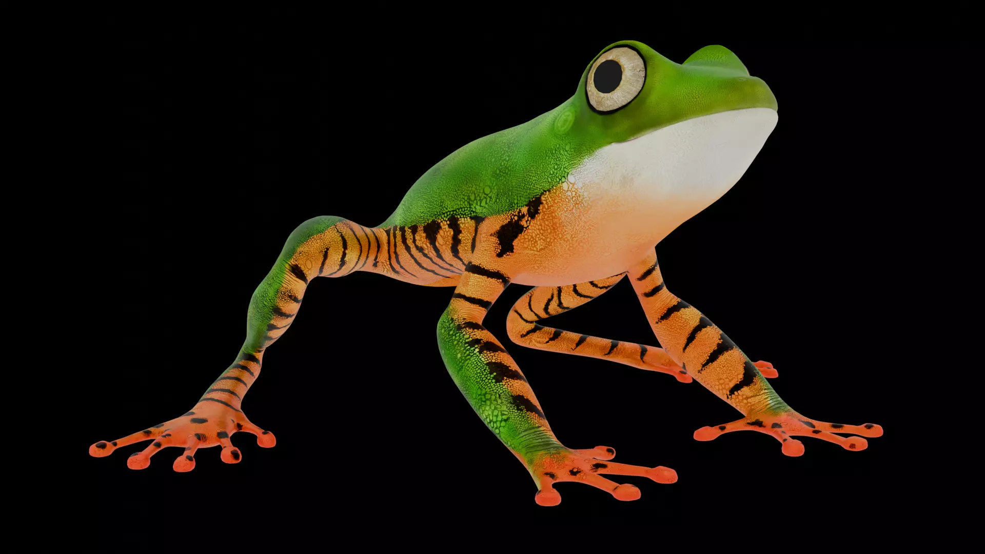 Tree Frog Low-poly 3D model_14