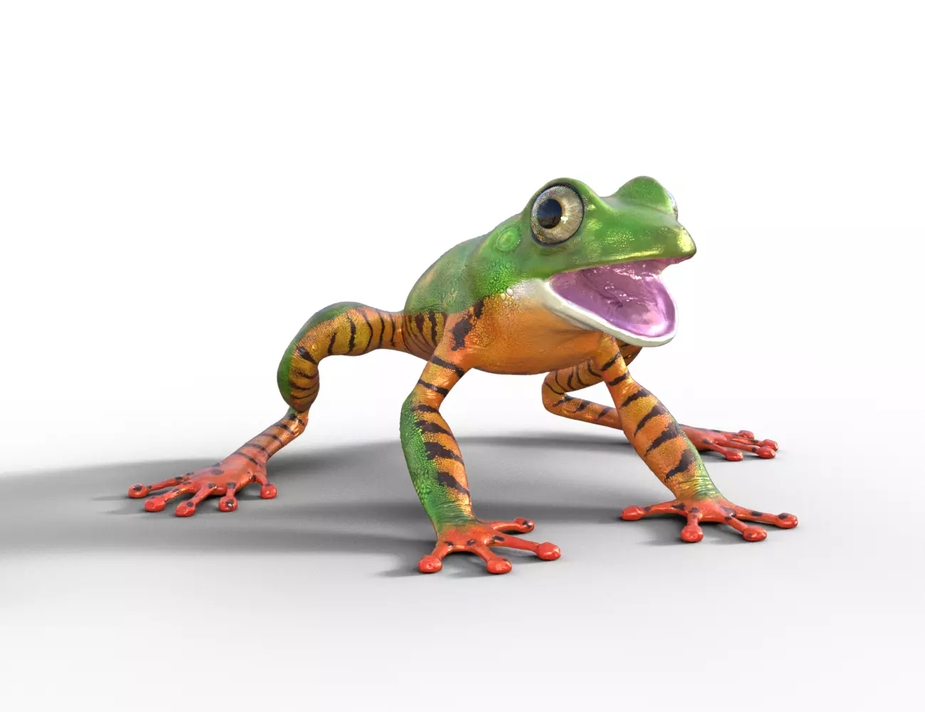 Tree Frog Low-poly 3D model_2