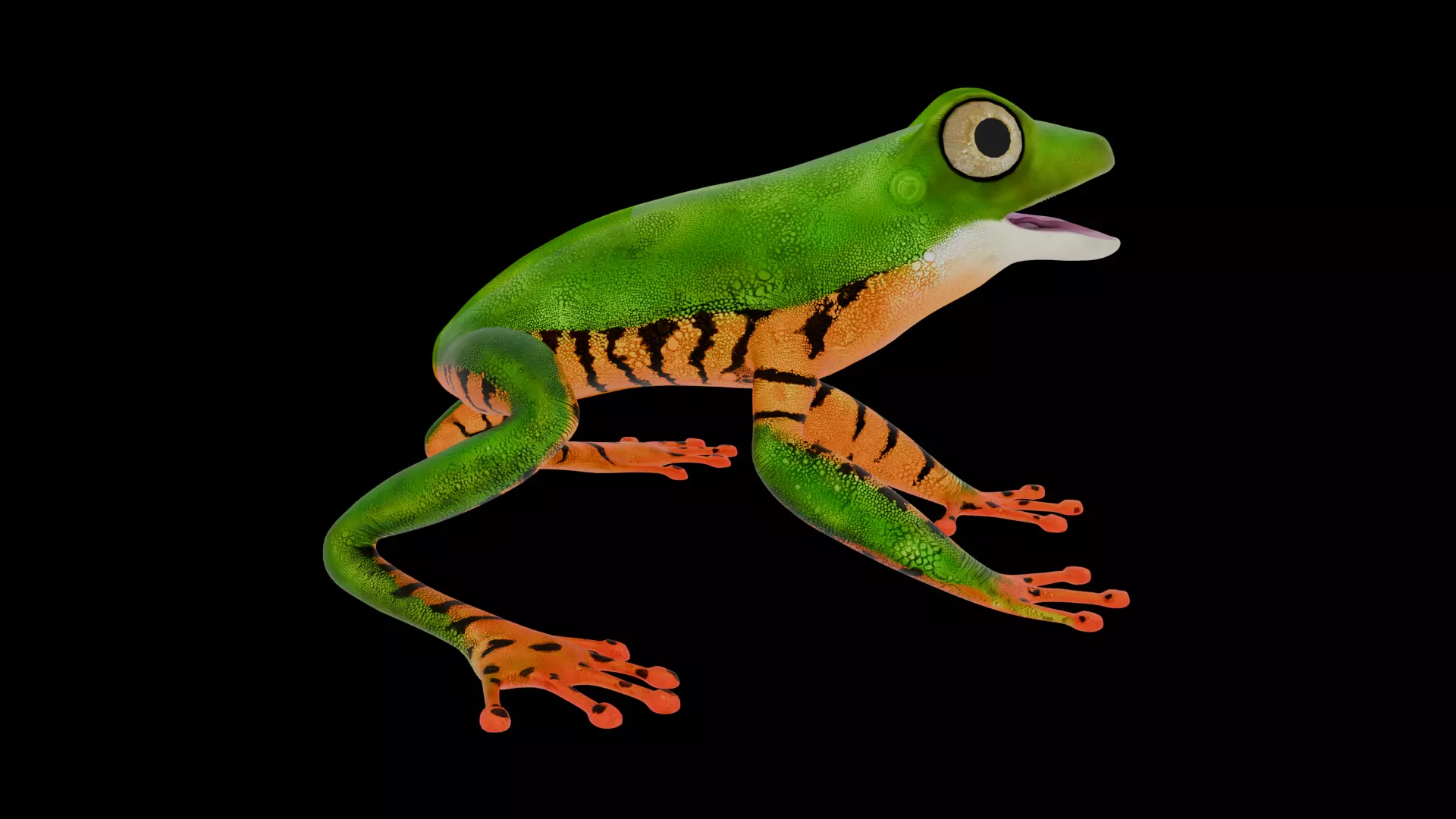 Tree Frog Low-poly 3D model_7