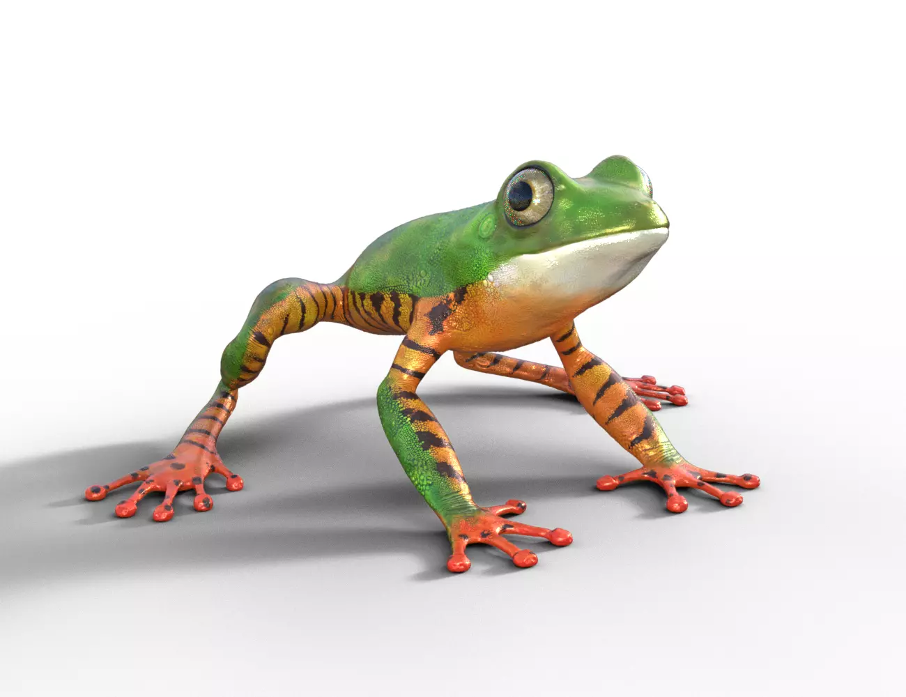 Tree Frog Low-poly 3D model_1