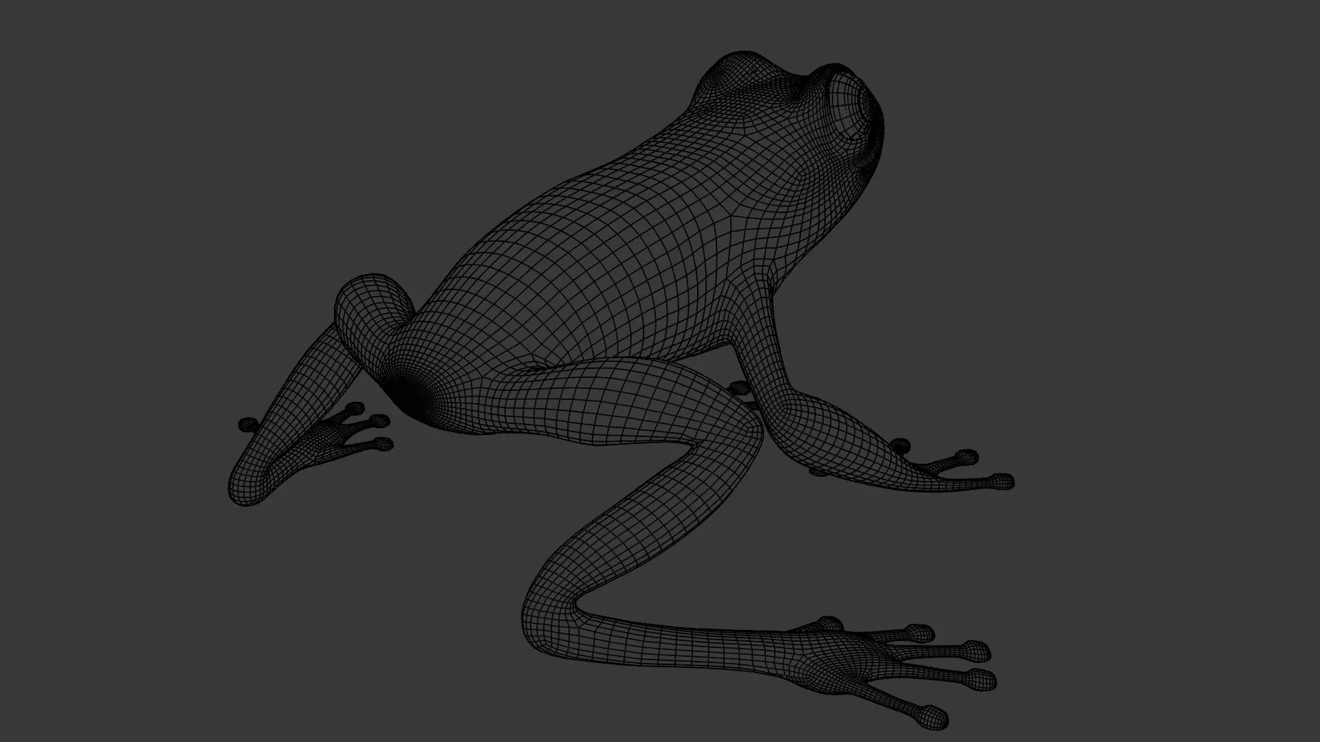 Tree Frog Low-poly 3D model_29