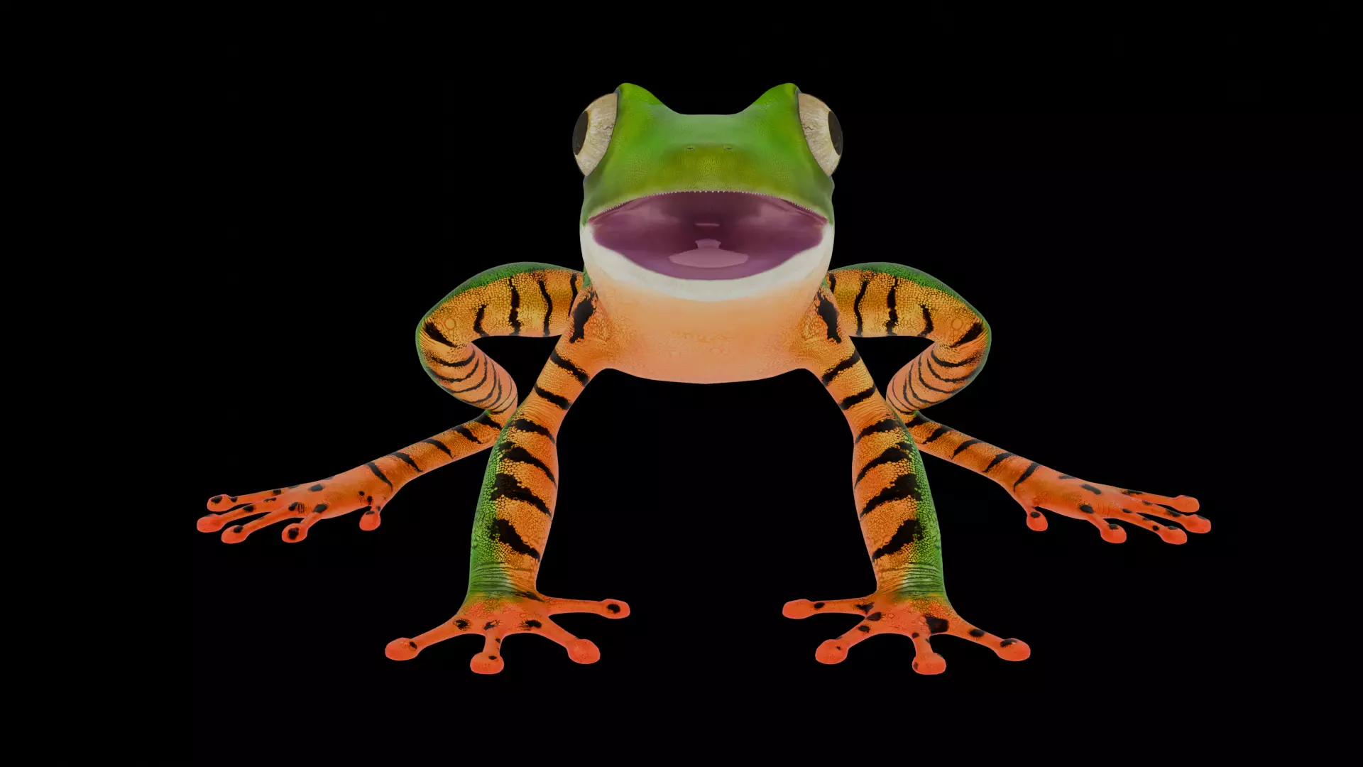 Tree Frog Low-poly 3D model_5