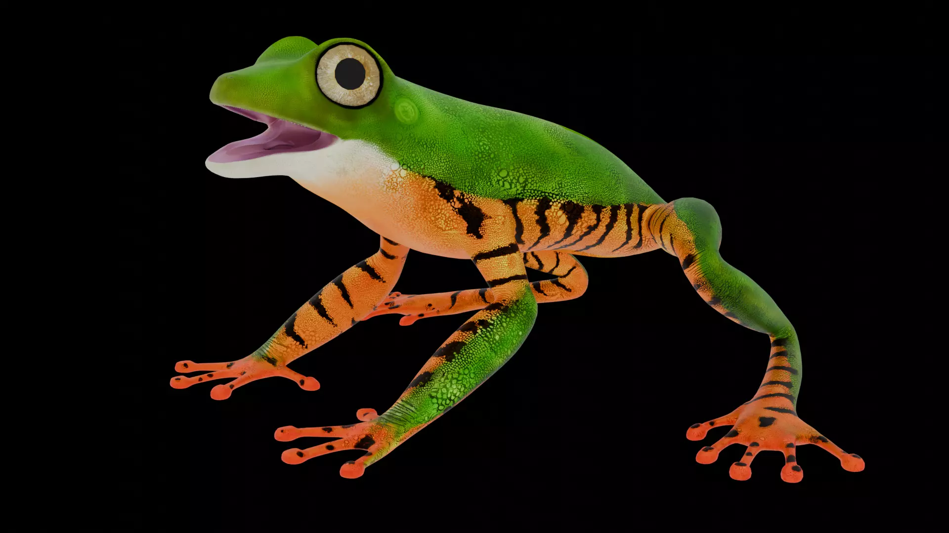 Tree Frog Low-poly 3D model_4
