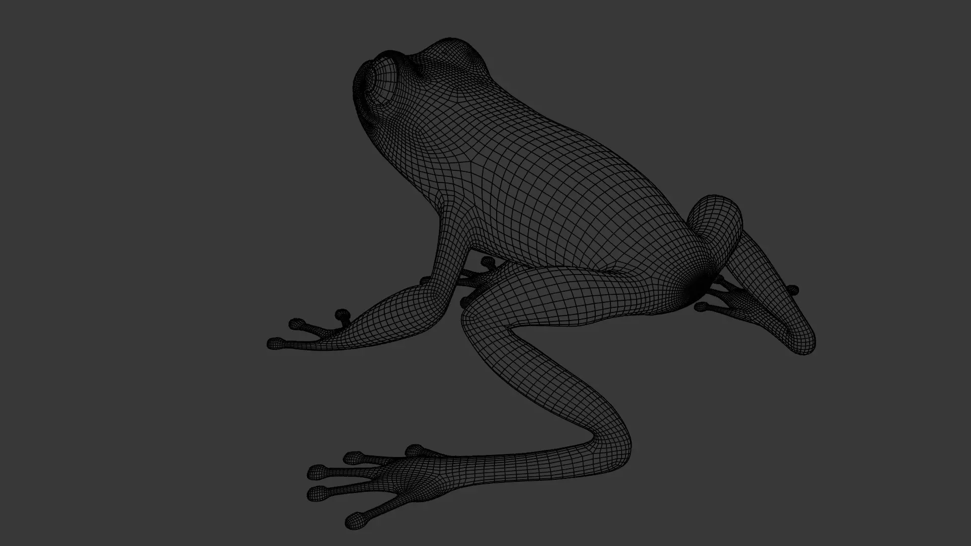 Tree Frog Low-poly 3D model_31
