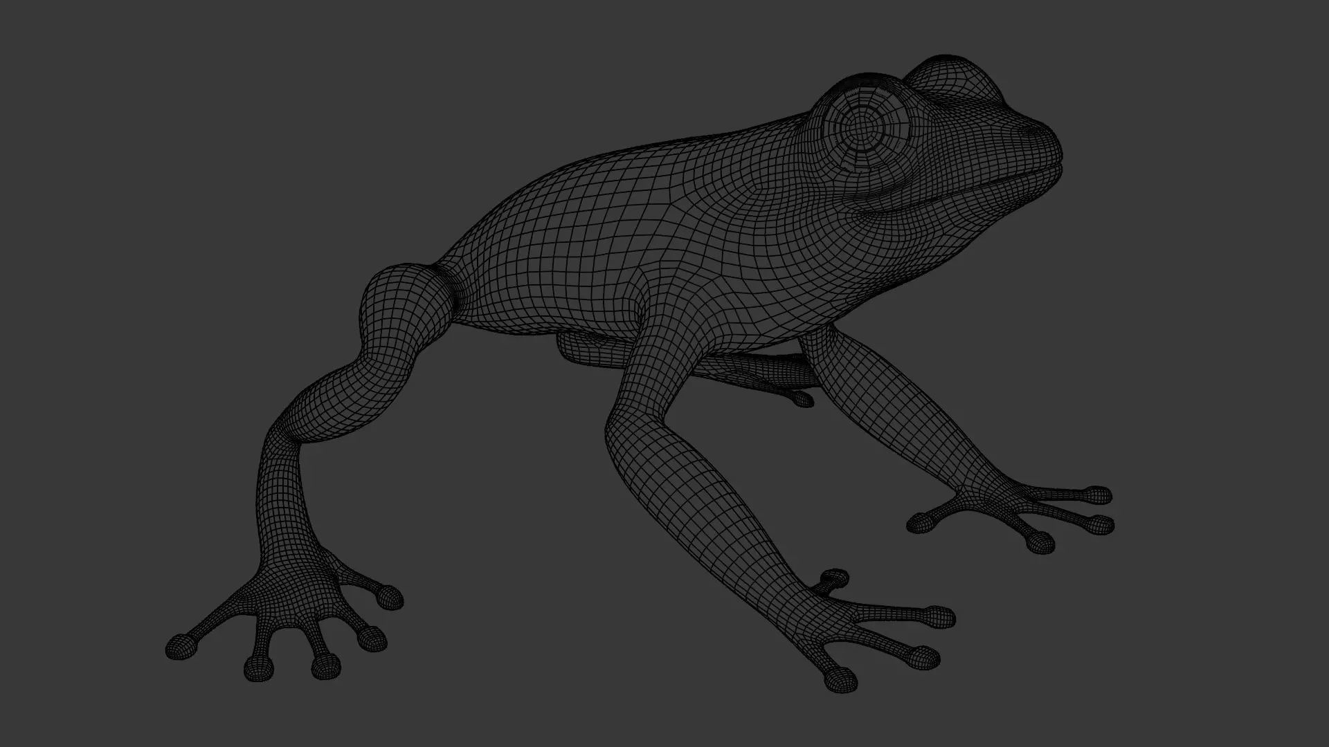 Tree Frog Low-poly 3D model_27