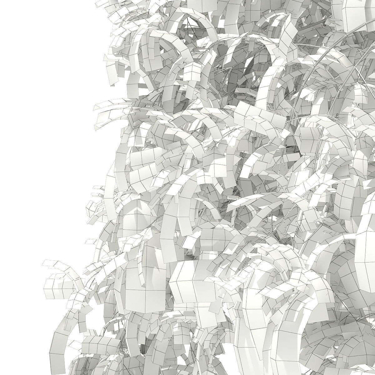 White Willow Salix alba 15m 3D model_7