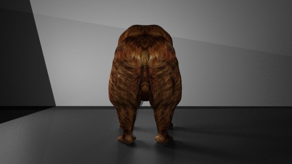 Grizzly Bear Low-poly 3D model_3