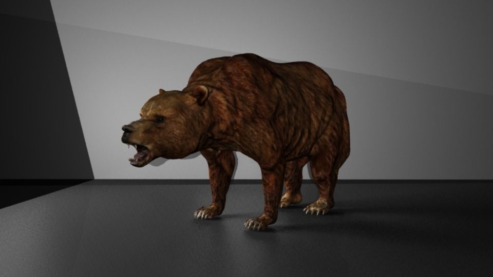 Grizzly Bear Low-poly 3D model_2