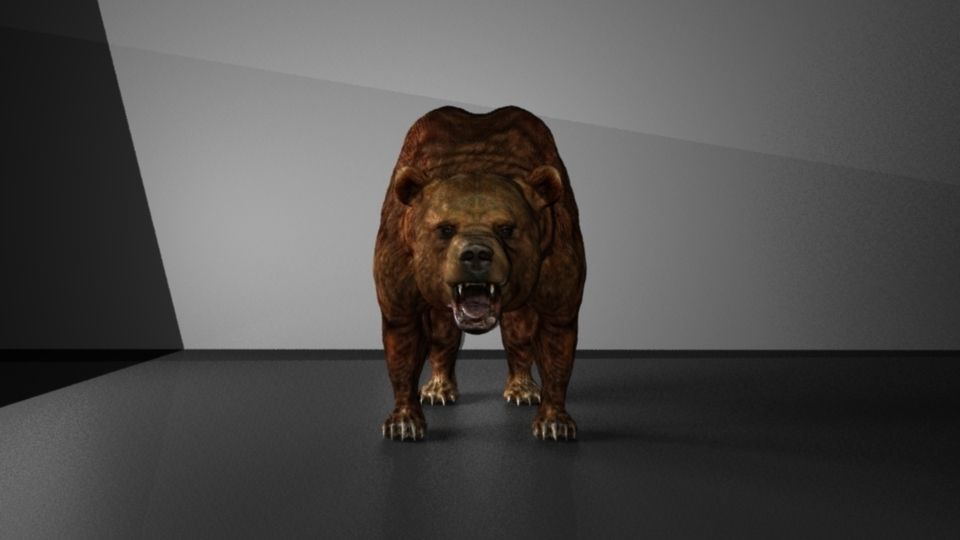 Grizzly Bear Low-poly 3D model_1