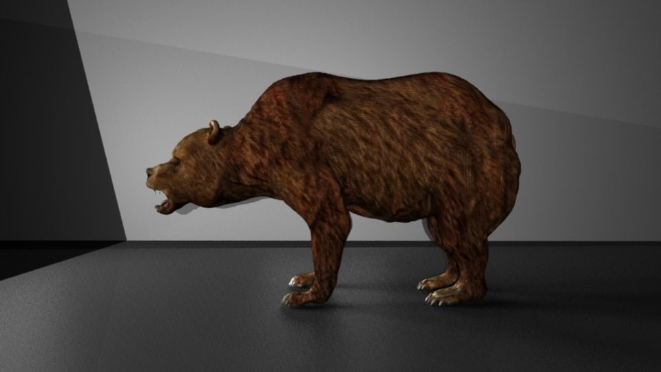 Grizzly Bear Low-poly 3D model_4