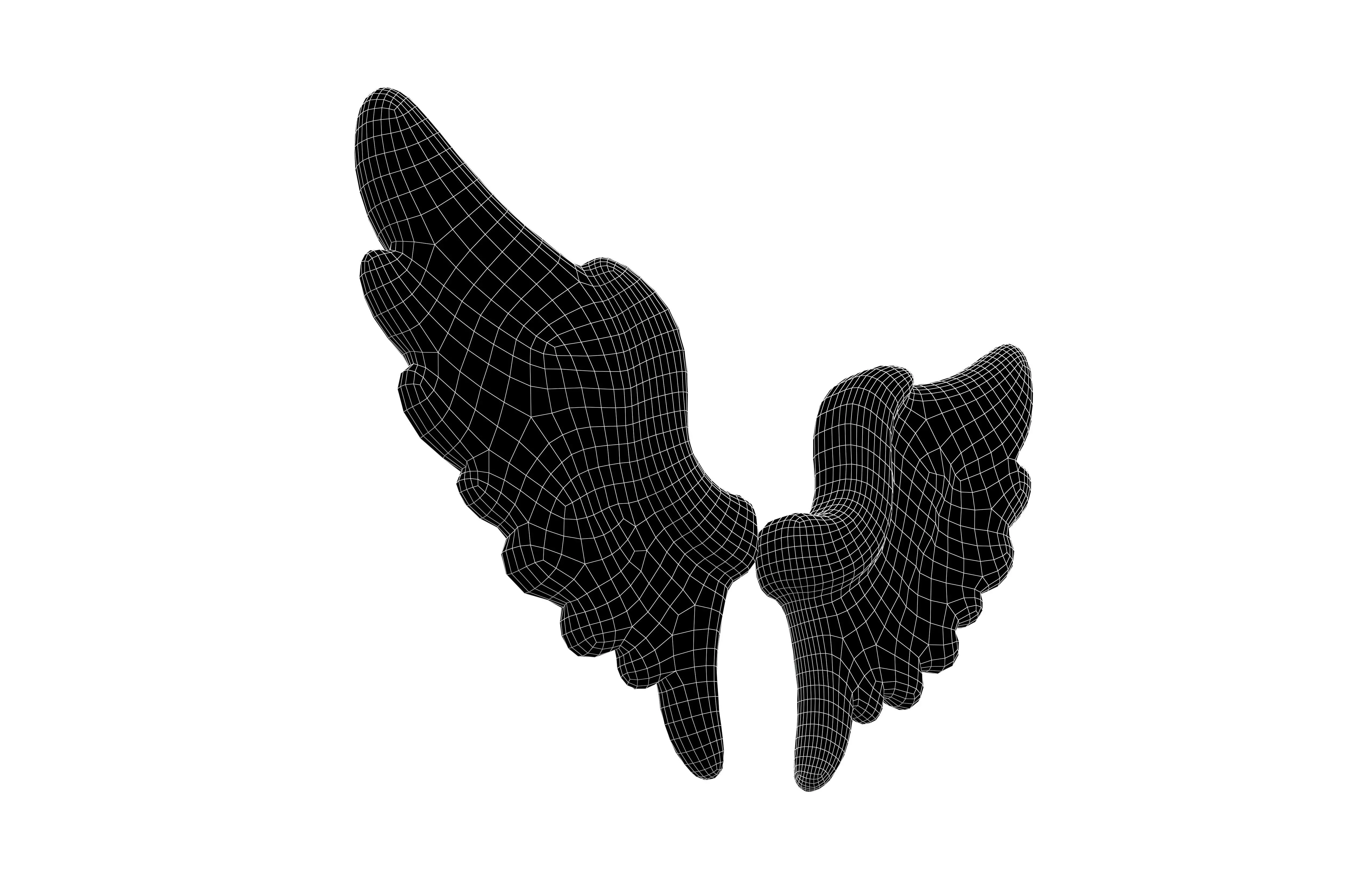 Low Poly Wings v7 003 Low-poly 3D model_7