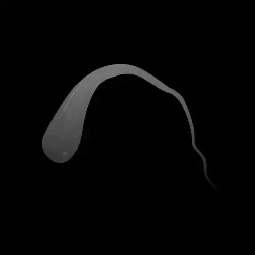 Prince Ruperts Drop v1 001