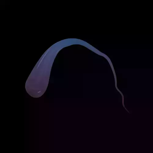 Prince Ruperts Drop v1 003