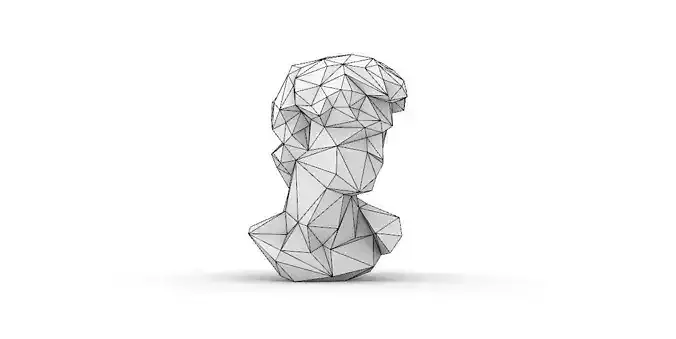 3D Printed Origami Model David 3D print model