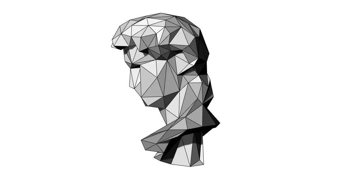 3D Printed Origami Model David 3D print model_6