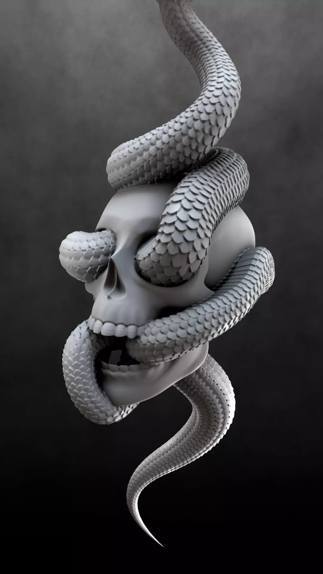Skull Snake Charm sculpt 3d print 3D print model_13