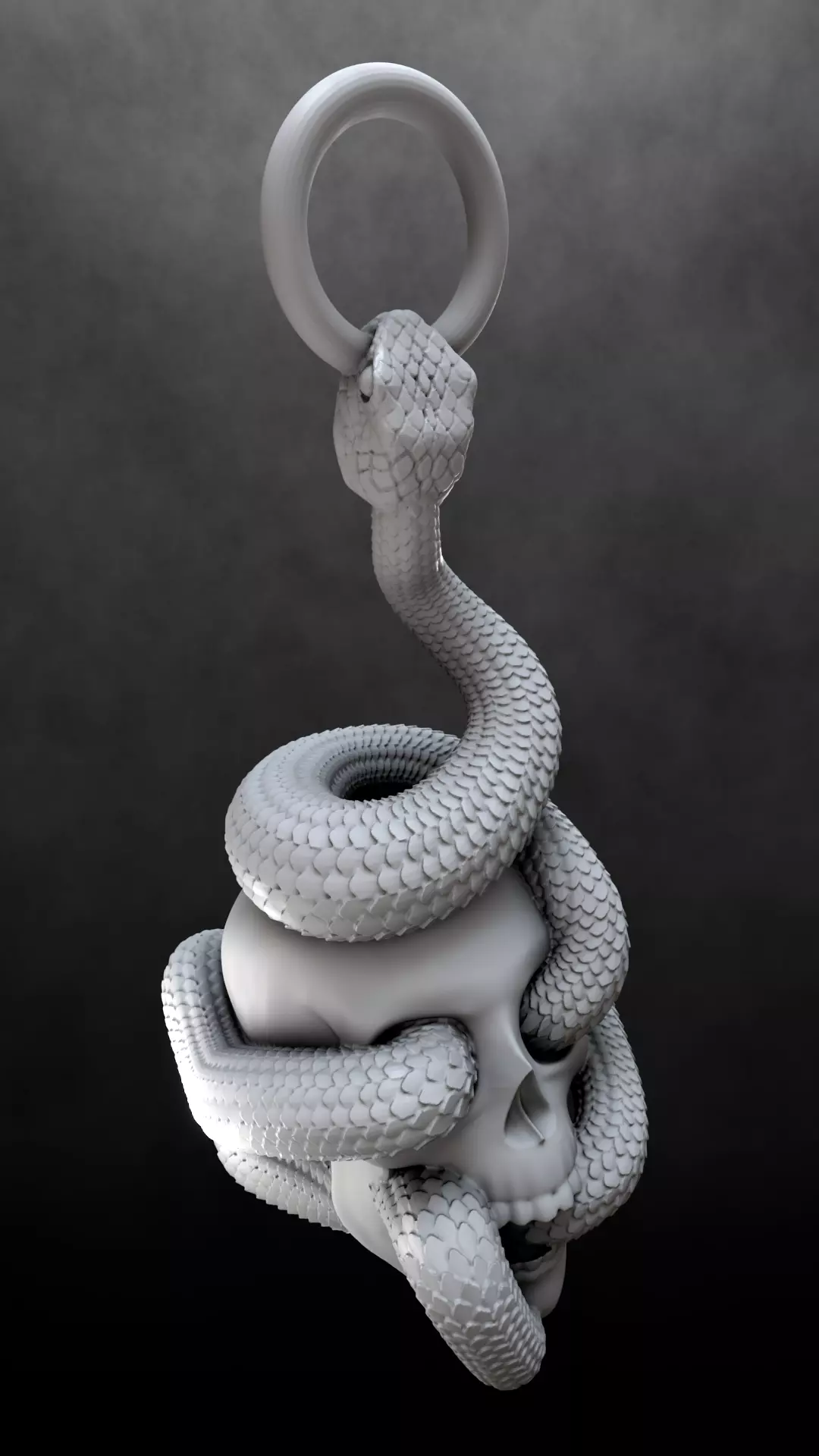 Skull Snake Charm sculpt 3d print 3D print model_21