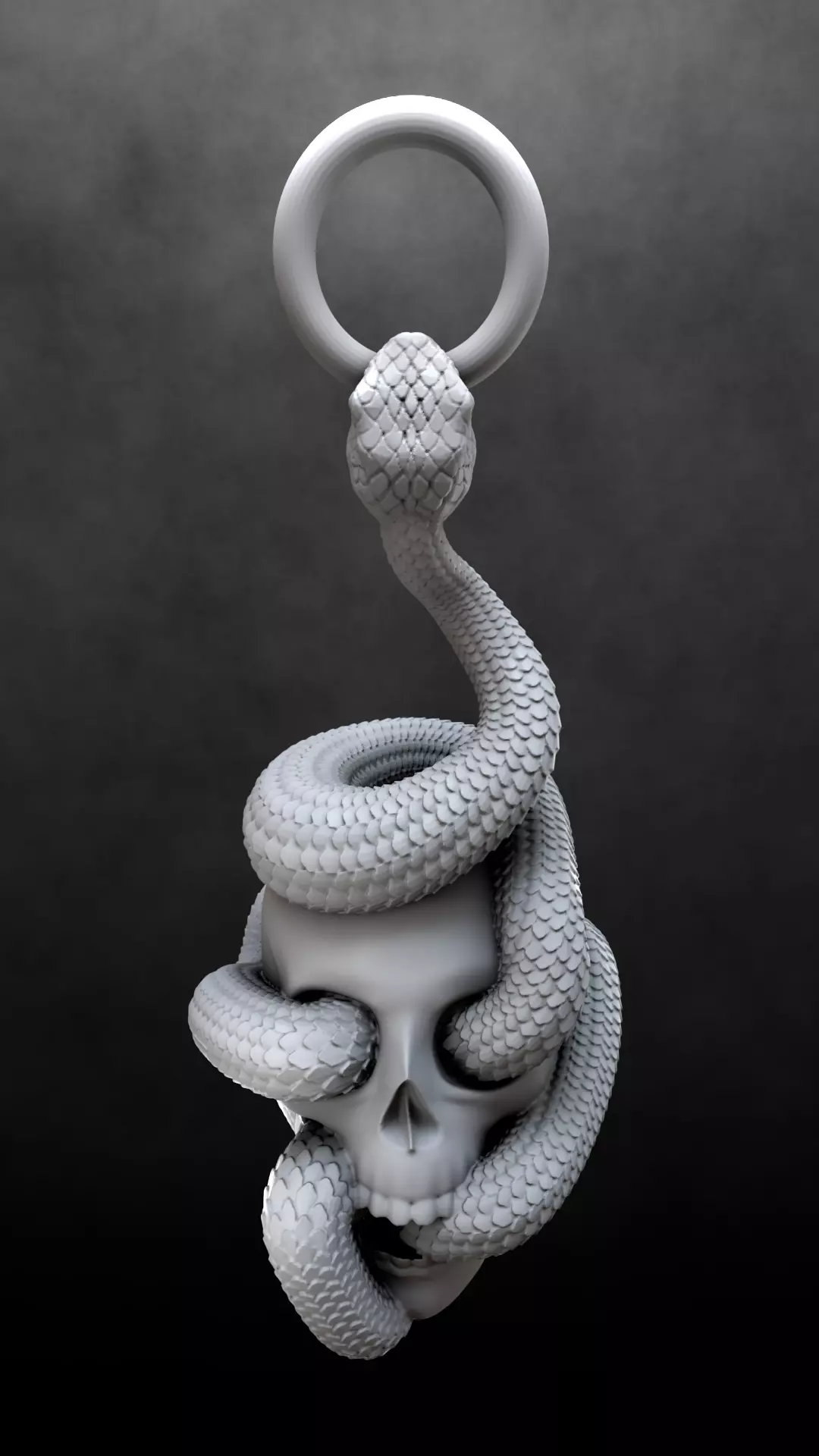 Skull Snake Charm sculpt 3d print 3D print model_24