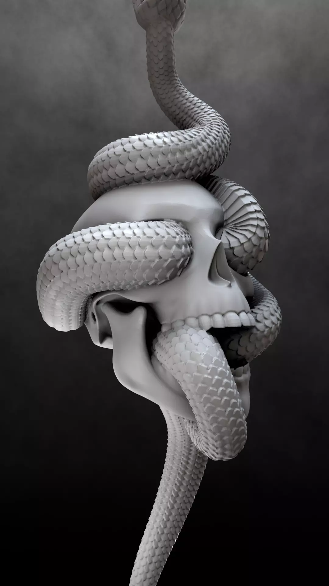 Skull Snake Charm sculpt 3d print 3D print model_16