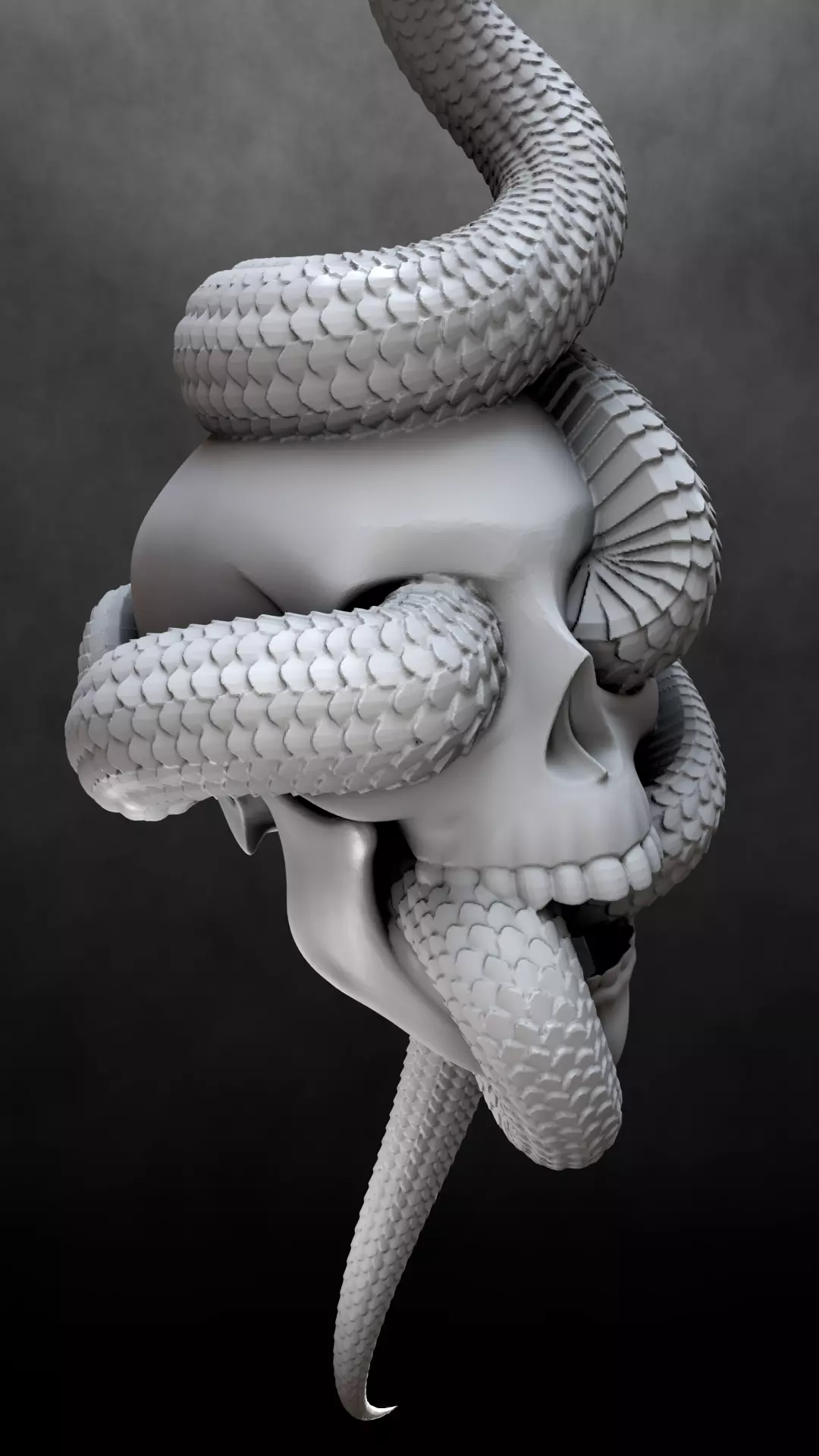 Skull Snake Charm sculpt 3d print 3D print model_15