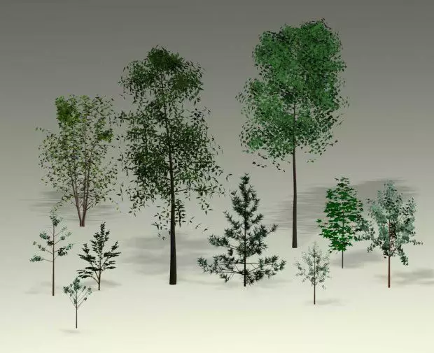 trees different Free 3D model
