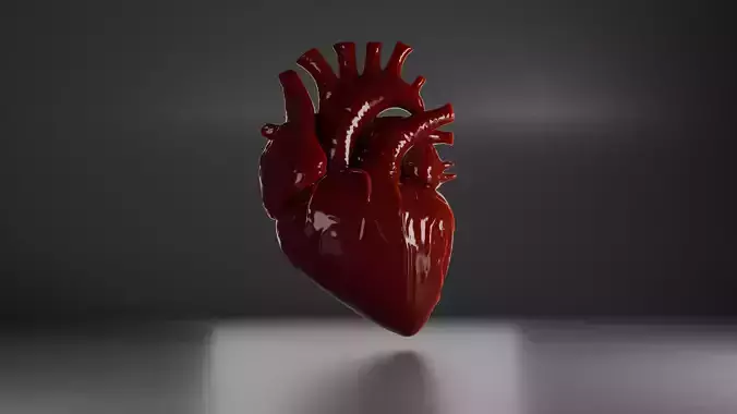 Realistic Human Heart 3D Model 