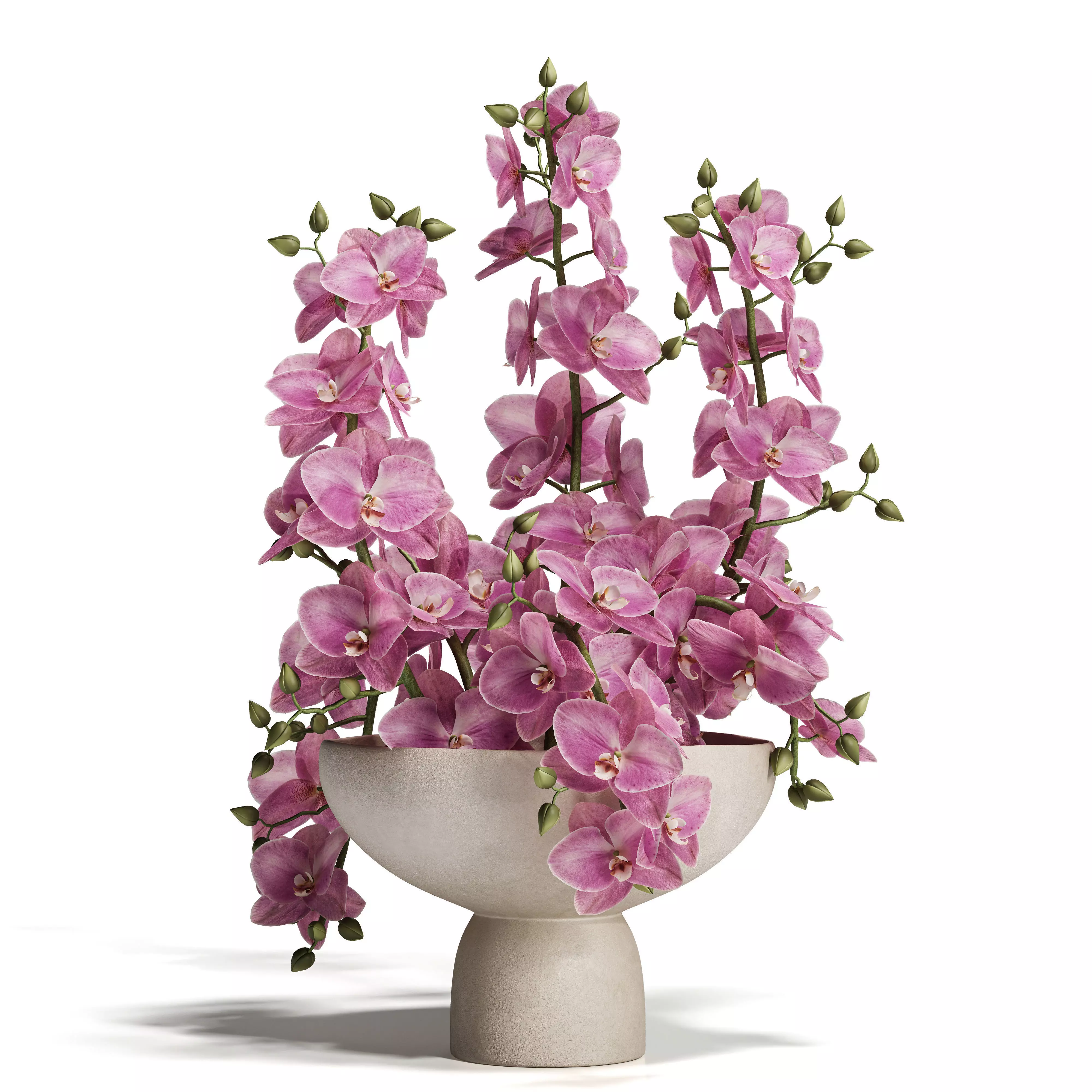 Sculpted Serenity Pink and White Orchids 3D model_3