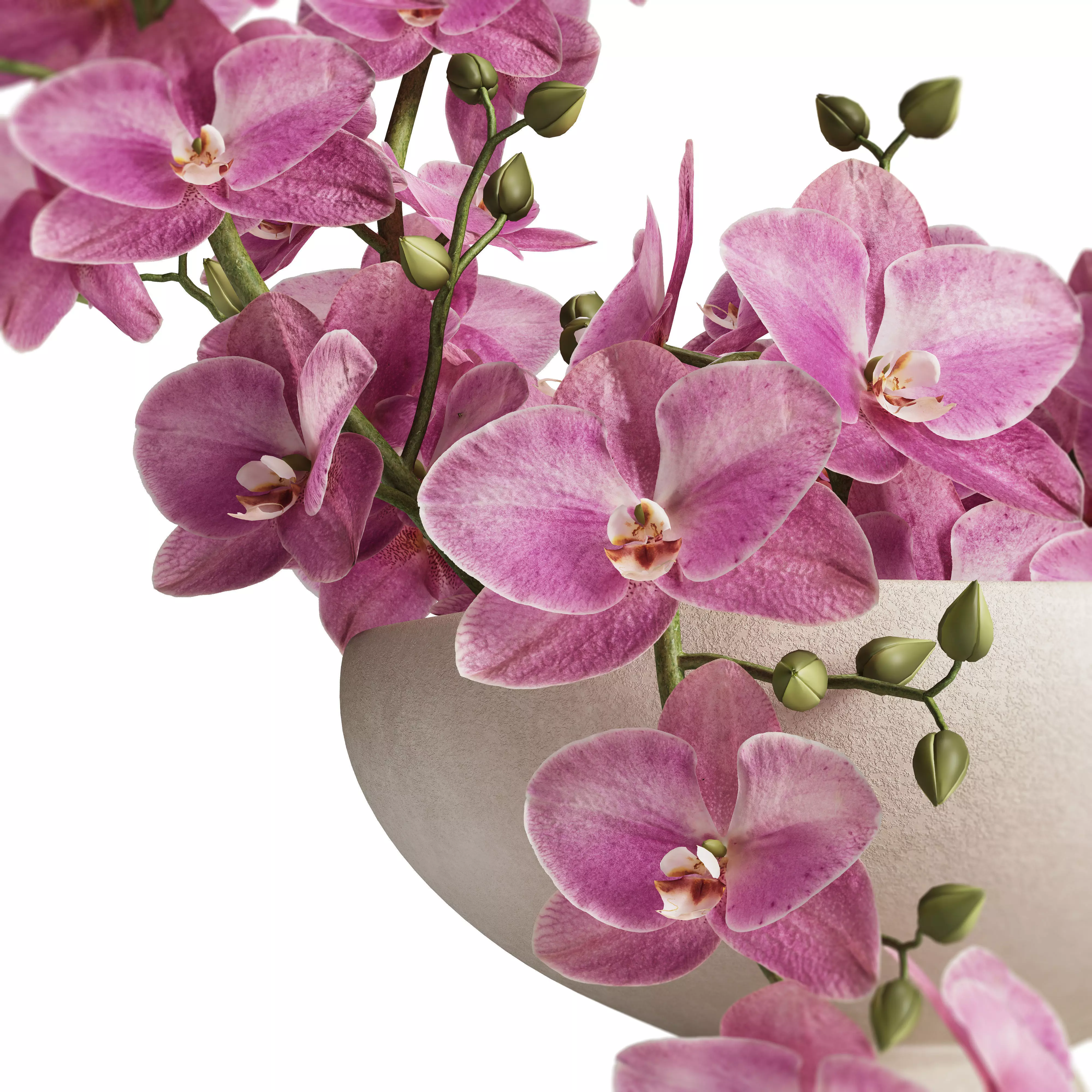 Sculpted Serenity Pink and White Orchids 3D model_2
