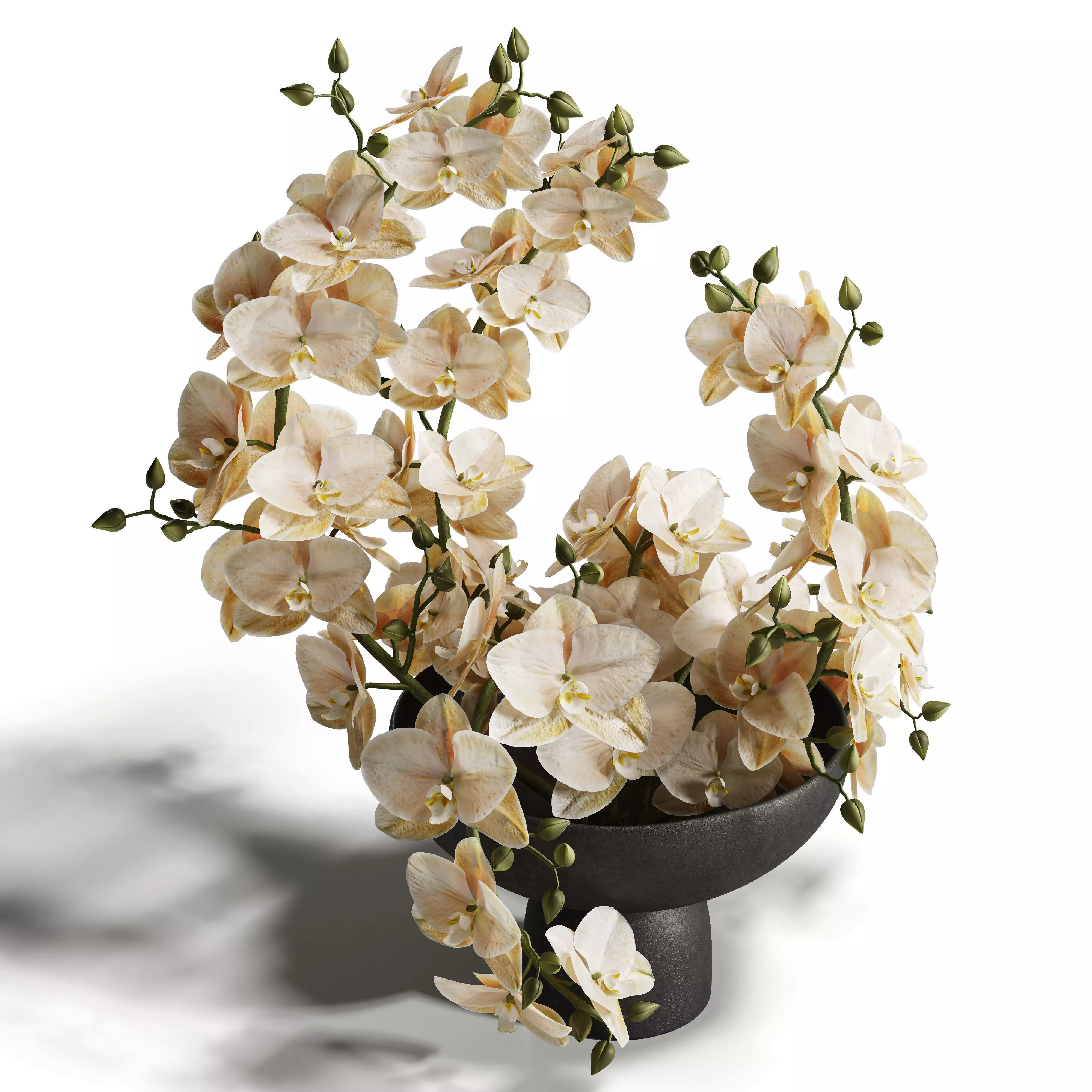 Sculpted Serenity Pink and White Orchids 3D model_4