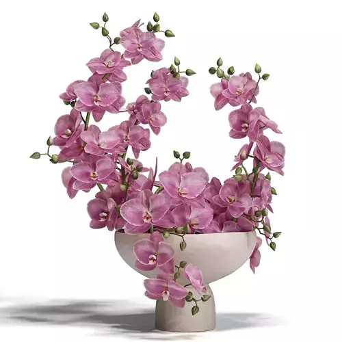 Sculpted Serenity Pink and White Orchids