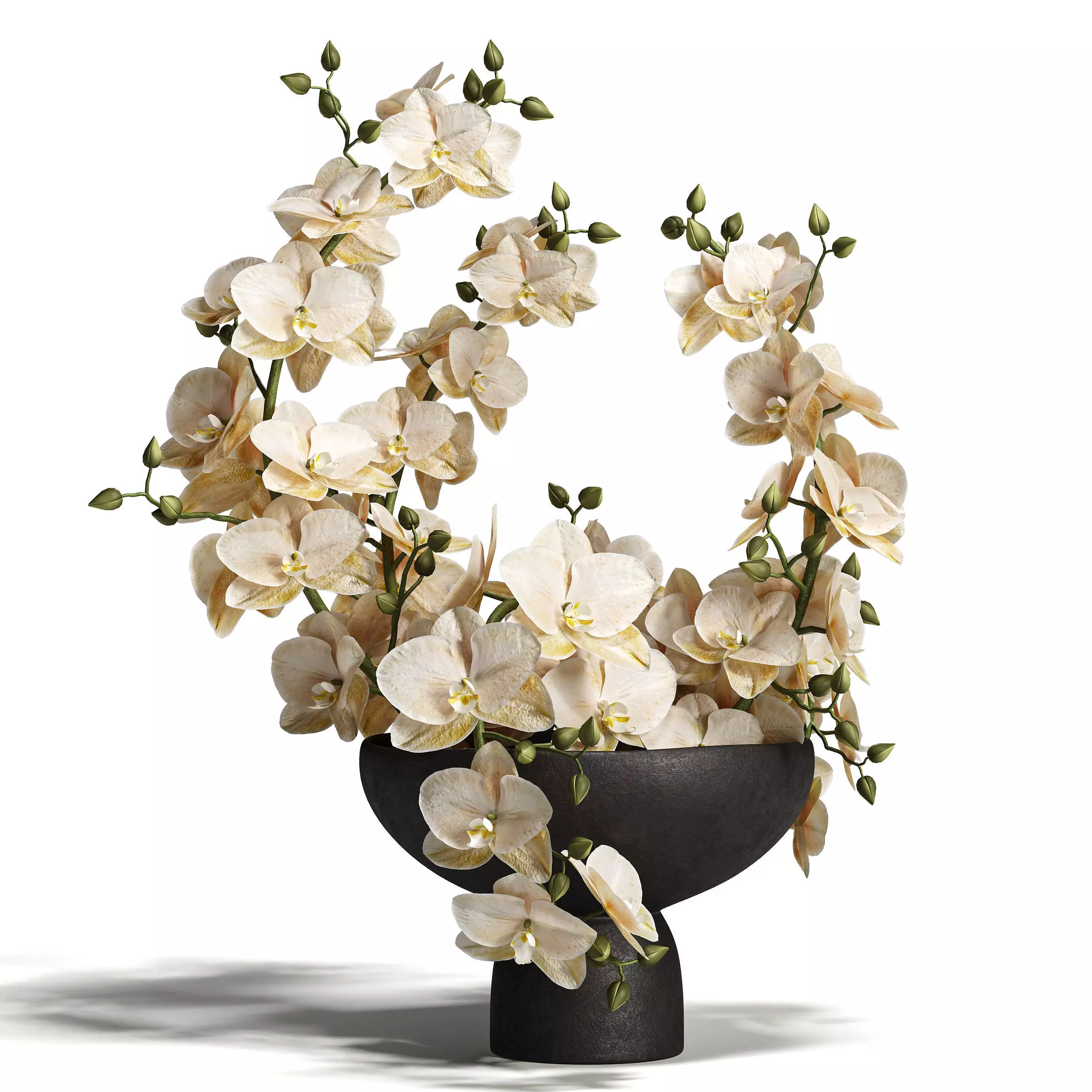 Sculpted Serenity Pink and White Orchids 3D model_1