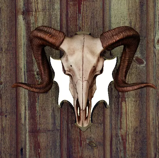 RamSkullWallDecor3DModel Free 3D model